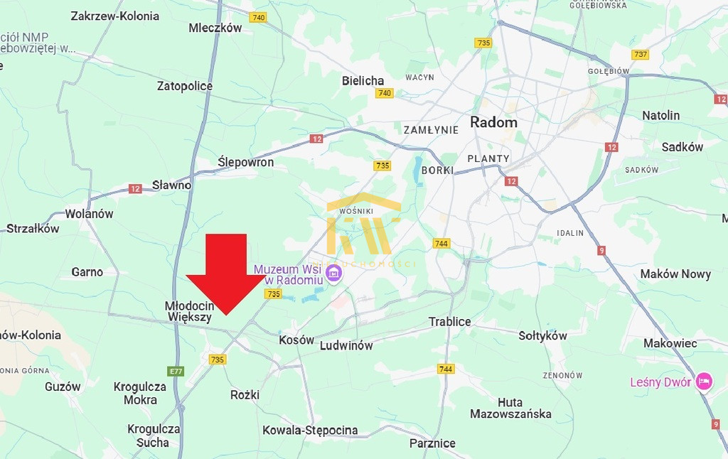 Młodocin Większy