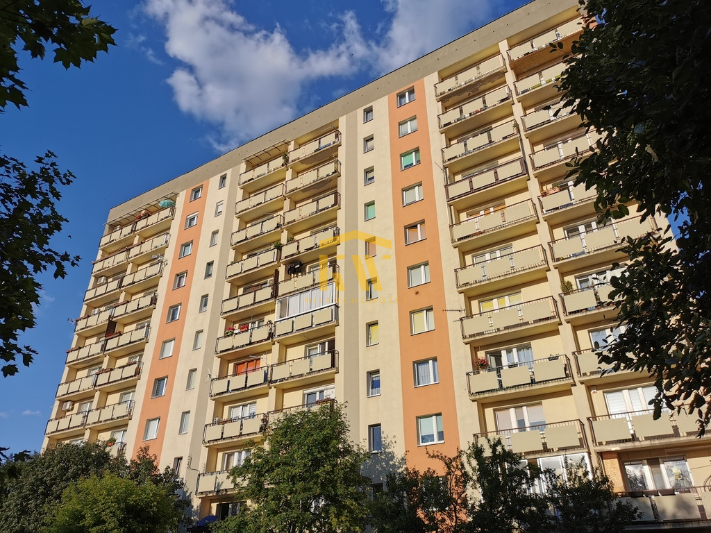 Radom, ul. Królowej Jadwigi
