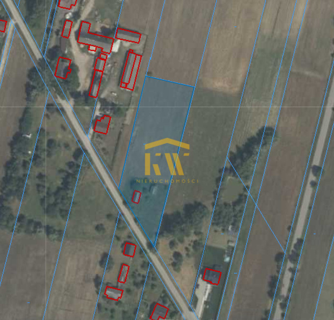 Guzów-Kolonia