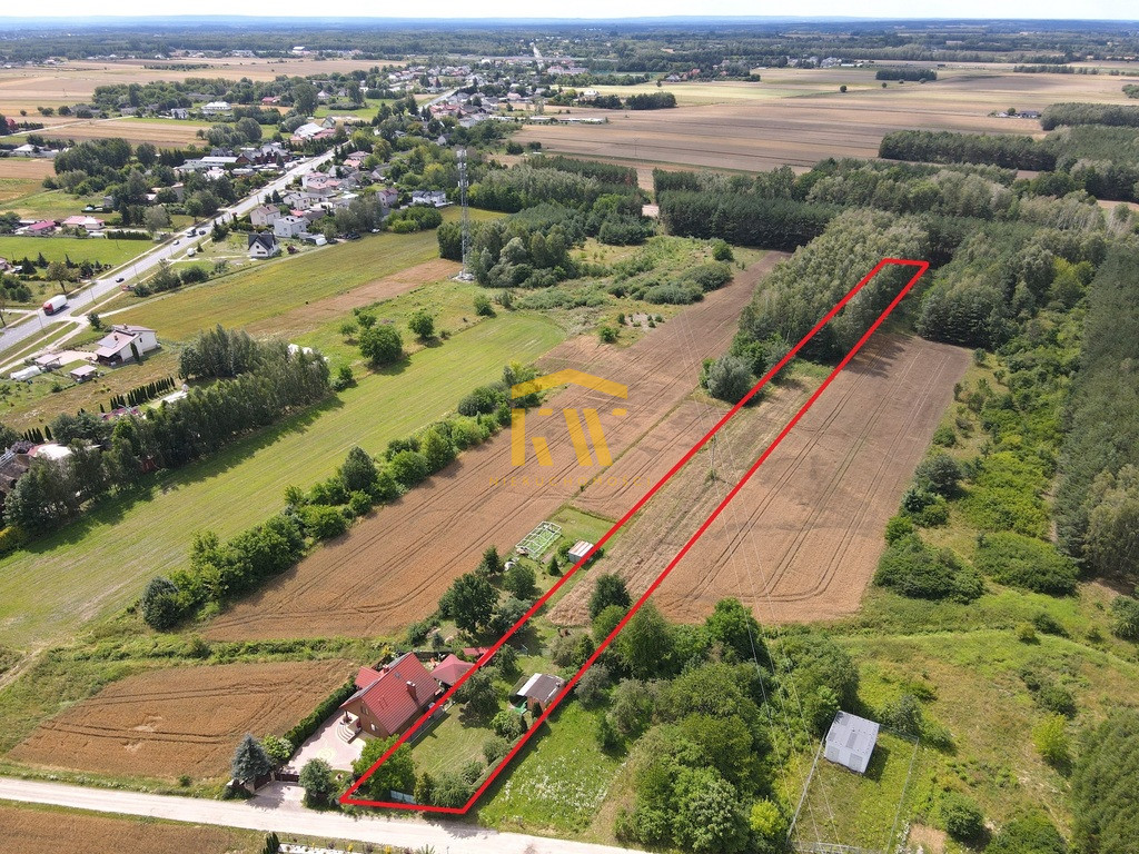 Ślepowron 