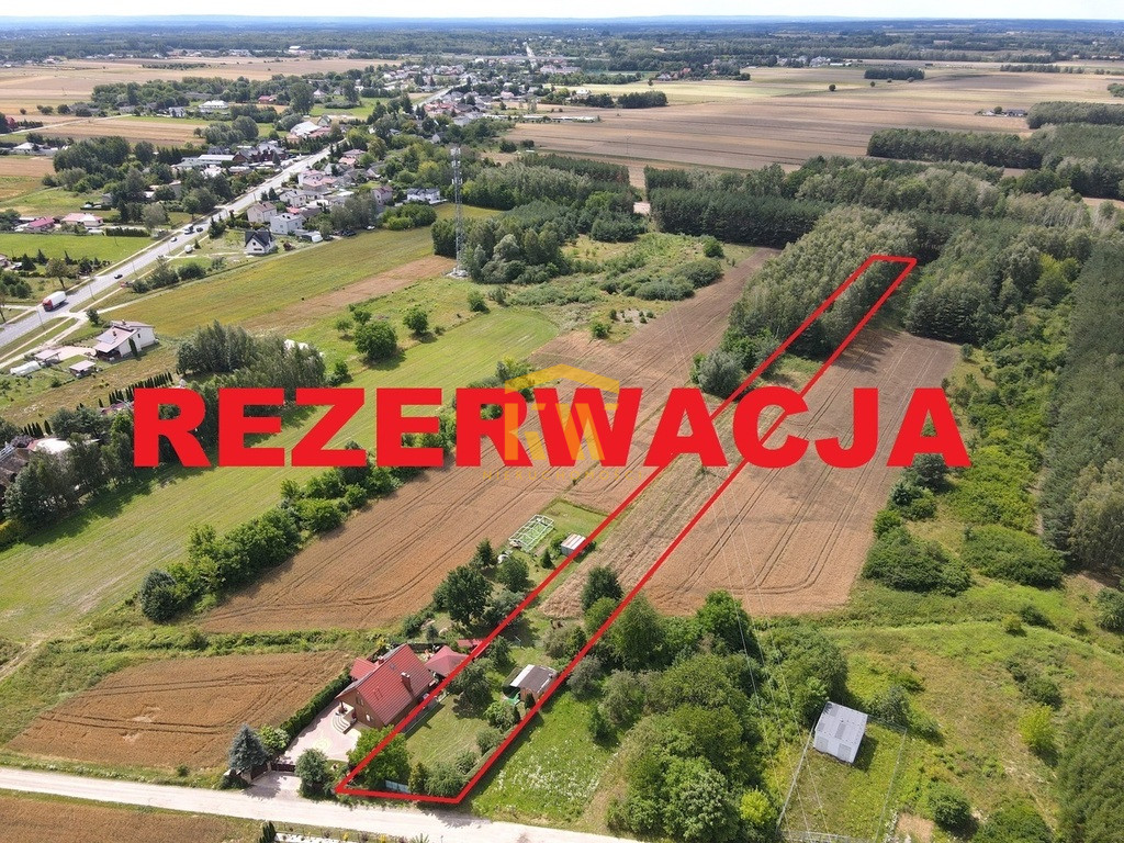 Ślepowron 