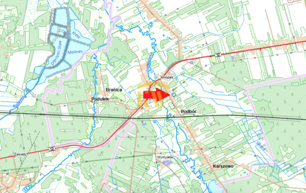 Mniszek 