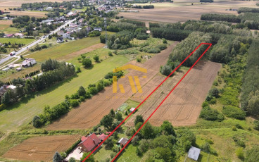 Ślepowron